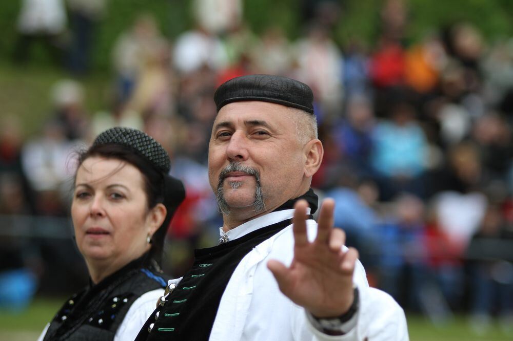 schaeferlauf_2011158 (jpg)