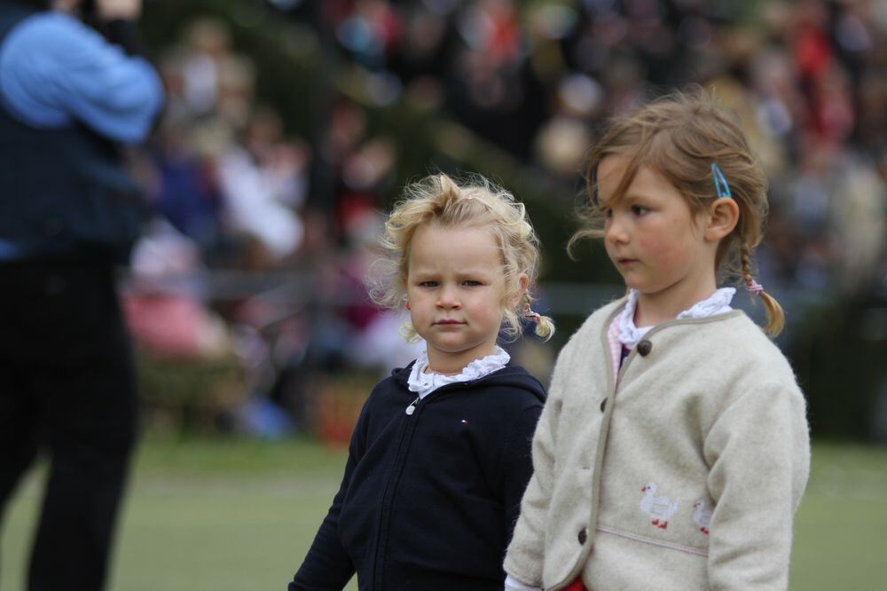 schaeferlauf_2011162 (jpg)