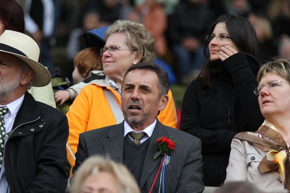 schaeferlauf_2011169 (jpg)