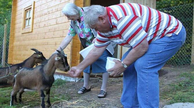 Im Altenpflegeheim Burghalde haben die beiden Zwergziegen aus Pfullingen ein neues Zuhause gefunden. Hier sollen sie demenzkrank