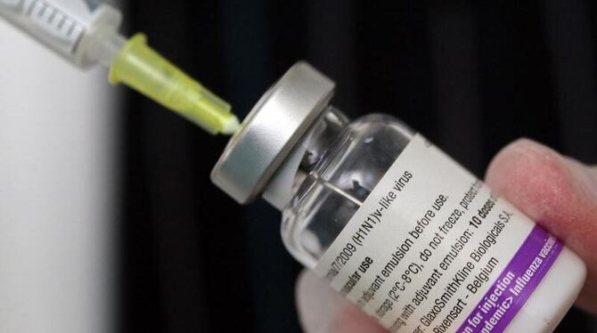Die Bundesländer suchen eine Verbrennungsanlage für die Vernichtung des übriggebliebenen Schweinegrippe-Impfstoffs.