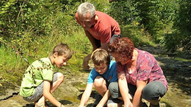 Eine der Attraktionen: Roland Nehk und Sabine Häusler mit Sohn und einem Nachbarsjungen beim »Schnecken-Pflaster« in der Steinla