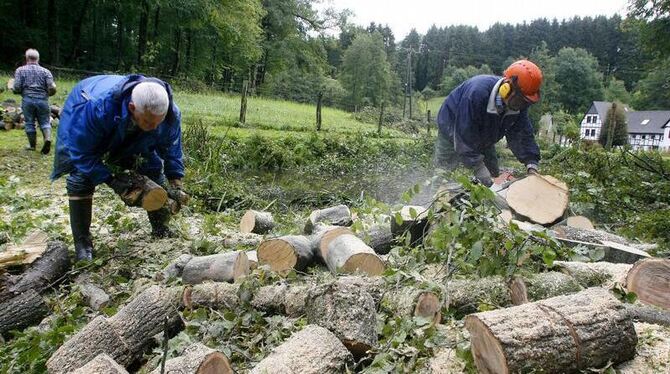 In einem Waldgebiet bei Bergisch Gladbach hat der Sturm in der Nacht mehrere Dutzend Bäume entwurzelt. 