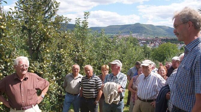 Paul Krohmer (rechts) vom Obst- und Gartenbauverein Dettingen beim Apfelrundgang. FOTO: SANDER