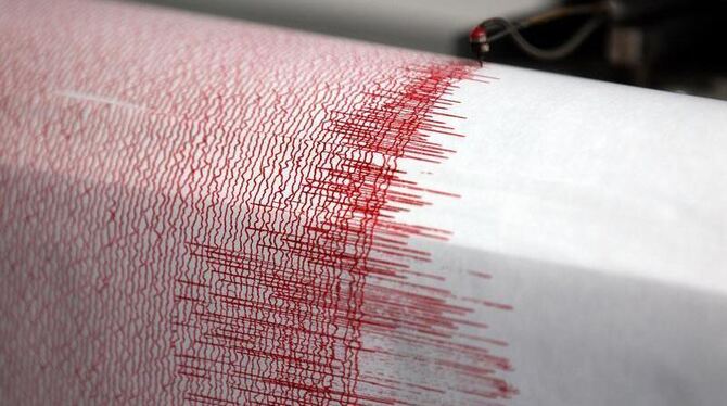 Ein Seismograph der Erdbebenwarte in Bergisch-Gladbach verzeichnet Ausschläge (Archivbild): Ein Erdbeben hat am Donnerstagabe