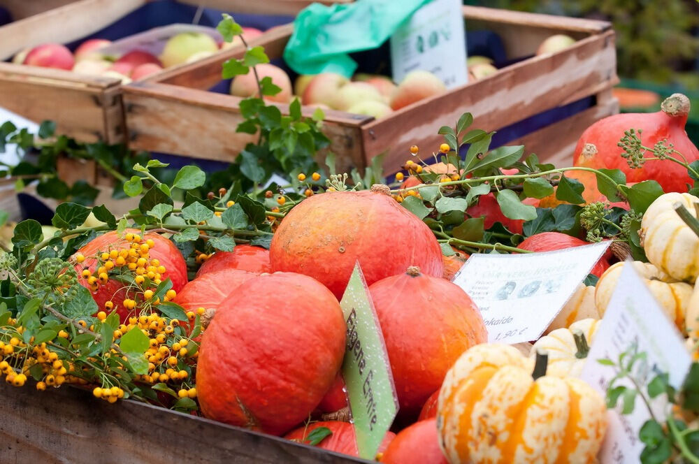 SWR 1 Pfännle on Tour in Trochtelfingen