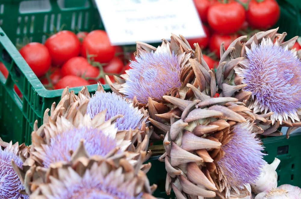 SWR 1 Pfännle on Tour in Trochtelfingen