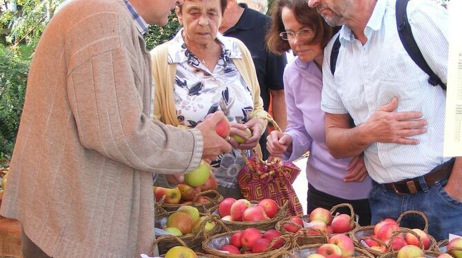 Gläserne Produktion Dettingen September 2011
