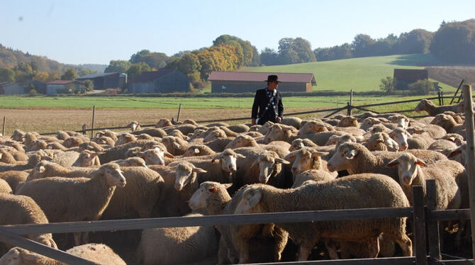 Bundesleistungshüten in Mägerkingen 2011