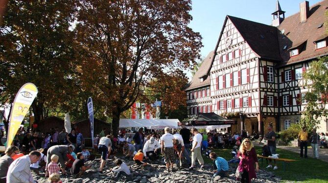 Biosphärenmarkt Münsingen 2011 Biosphärenmarkt Münsingen 2011