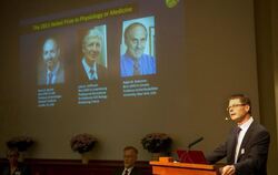 Professor Hans-Gustaf Ljunggren vom Karolinska-Institut gibt in Stockholm die Preisträger des Medizin-Nobelpreises bekannt.
