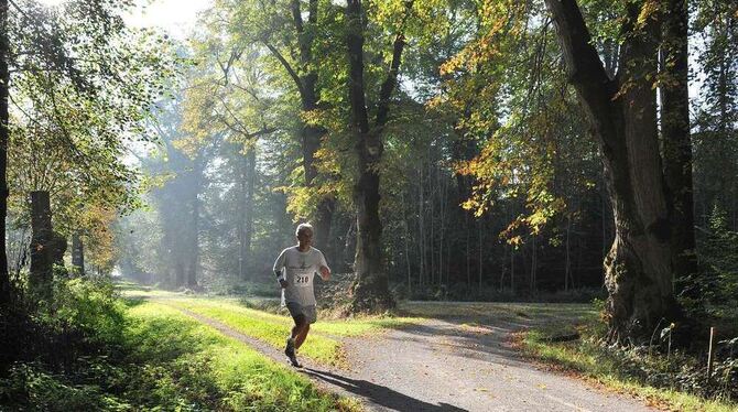 Am Eingangstor zur Lindenallee: wo der Schönbuch am schönsten ist.  GEA-FOTO: PACHER
