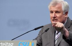 Horst Seehofer: Unangefochtener Chef der CSU. Foto: Karl-Josef Hildenbrand, dpa