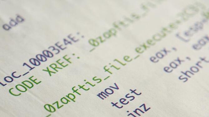 Teile eines Computer-Codes einer Spionagesoftware, der in der Frankfurter Allgemeinen Sonntagszeitung abgedruckt wurde. Nach