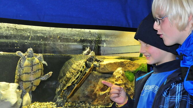 25 Jahre Aquarien- und Terrarienfreunde Mössingen