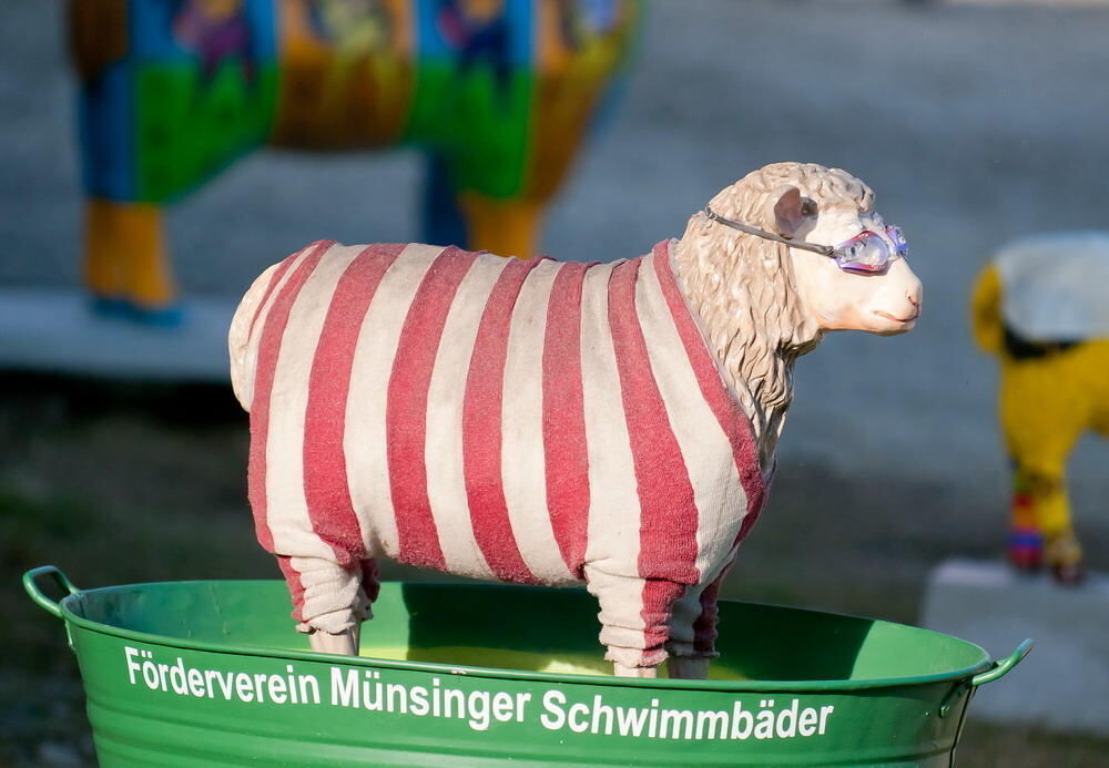 Münsingen Messe Schön und gut 2011