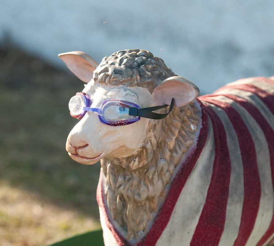 Münsingen Messe Schön und gut 2011