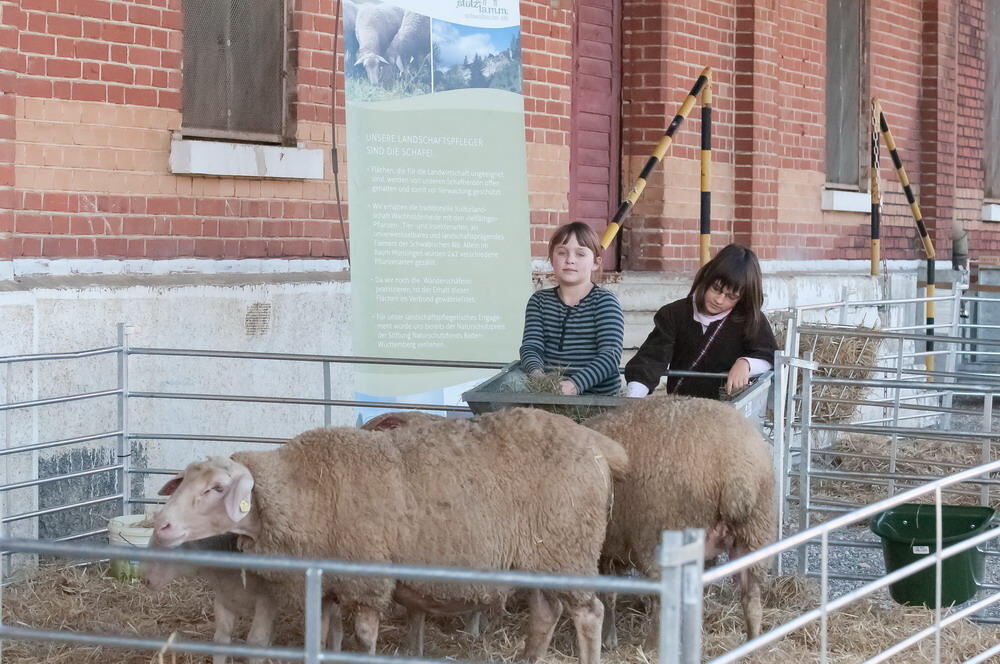 Münsingen Messe Schön und gut 2011