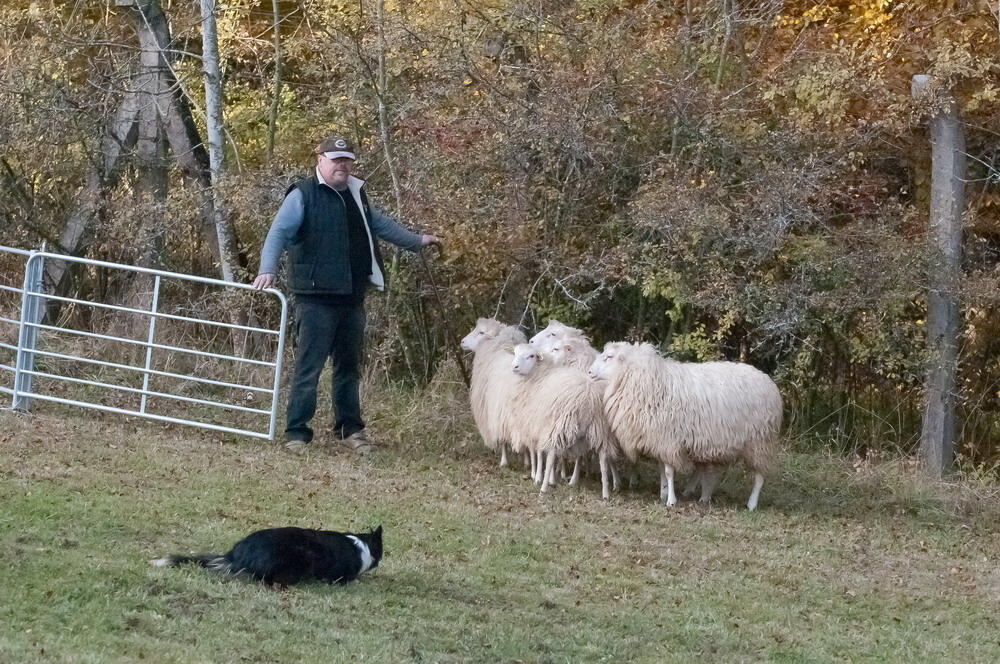 Münsingen Messe Schön und gut 2011
