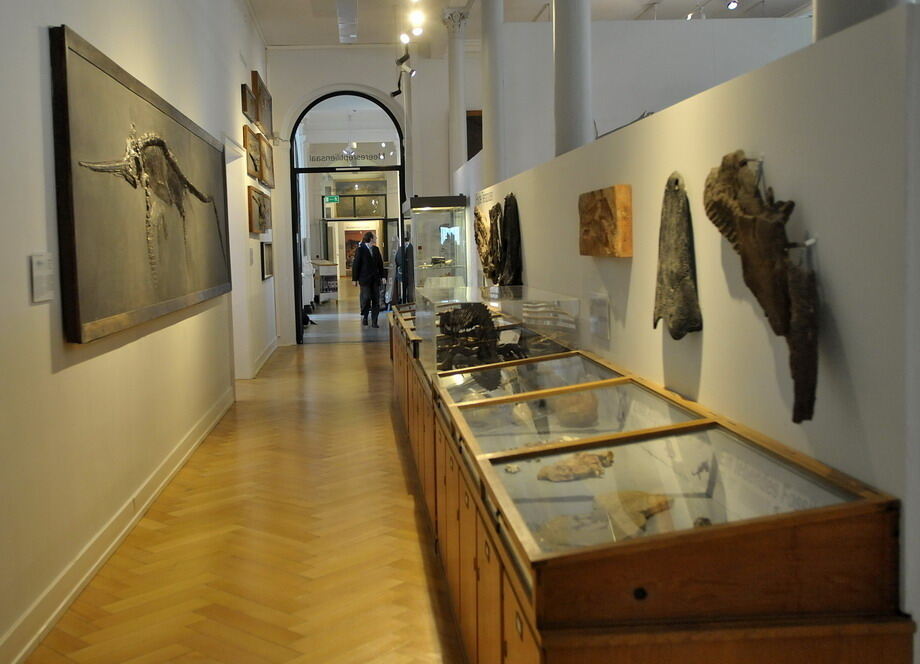 Paläontologische Sammlung der Uni Tübingen