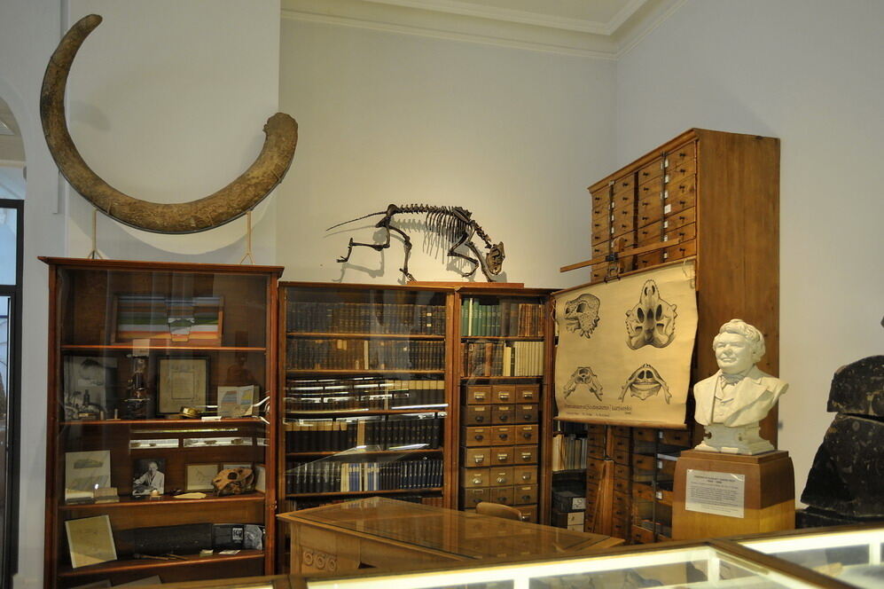 Paläontologische Sammlung der Uni Tübingen