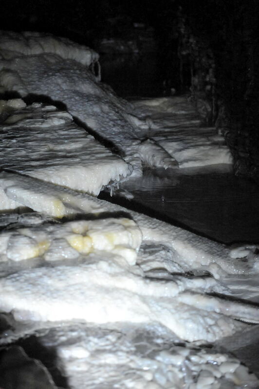 Frankonenstollen Reutlingen