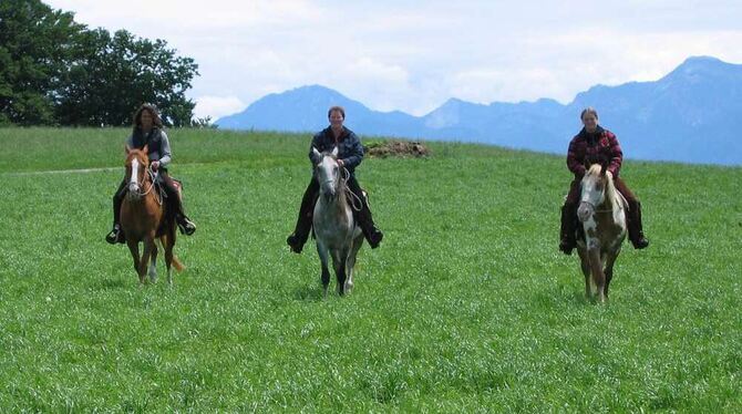 Anhänger des Rai-Reitens betonen, dass ihre Pferde entspannter sind, weil die Tiere die Frage nach der Sicherheit an den Reiter