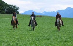 Anhänger des Rai-Reitens betonen, dass ihre Pferde entspannter sind, weil die Tiere die Frage nach der Sicherheit an den Reiter 