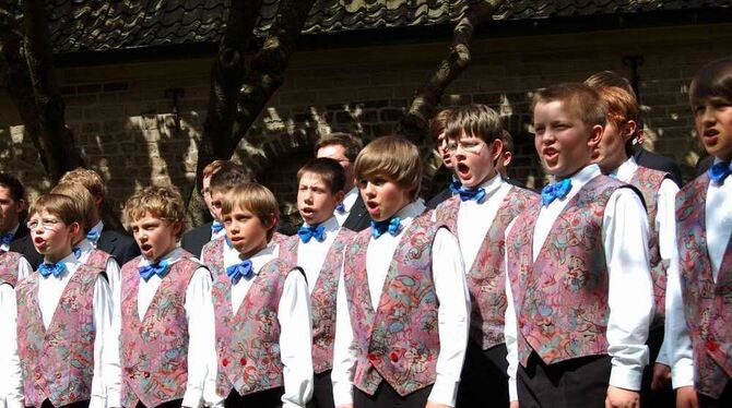 Der Knabenchor Capella vocalis auf einem Pressebild. ARCHIVFOTO: PR