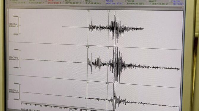 Die japanische Hauptstadt Tokio ist von einem schweren Erdbeben erschüttert worden. Foto: J.L. Pino/ Symbol