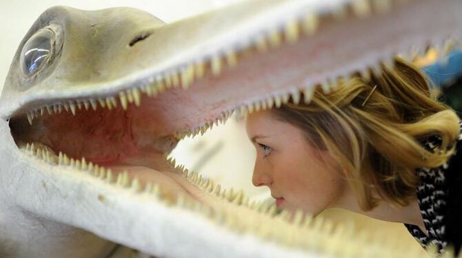 Museumsmitarbeiterin mit dem Lebendmodell eines Fischsauriers. Foto: Peter Steffen