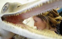 Museumsmitarbeiterin mit dem Lebendmodell eines Fischsauriers. Foto: Peter Steffen