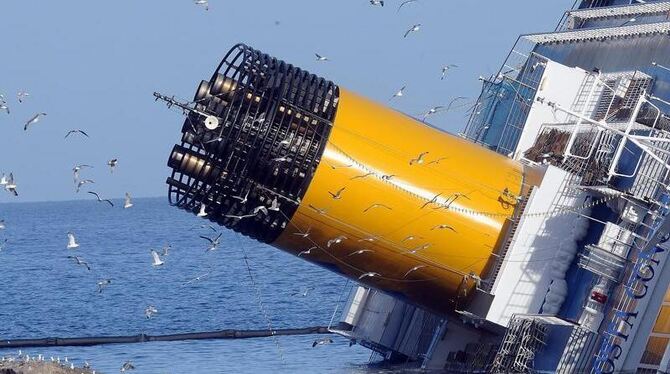 Seemöwen umkreisen das Wrack der »Costa Concordia«. Foto: Carlo Ferraro