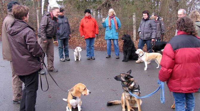 Die Autorität von Hundetrainer Thorsten Funk (Dritter von links) nimmt Hunden und Menschen die Anspannung - und schon flutscht d