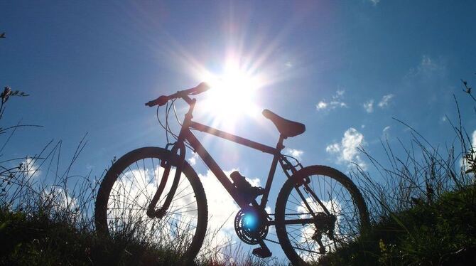 Fahrrad im Gegenlicht