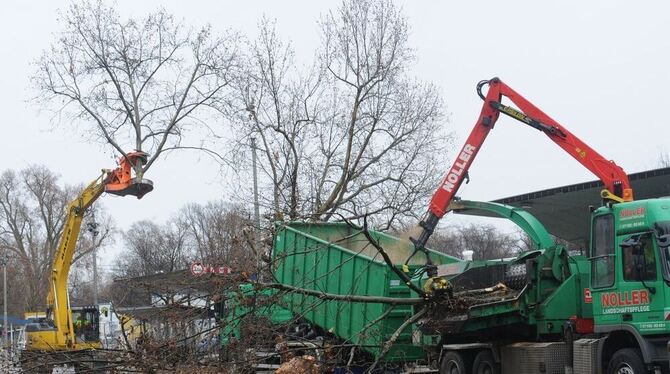Räumung Schlossgarten Stuttgart 21