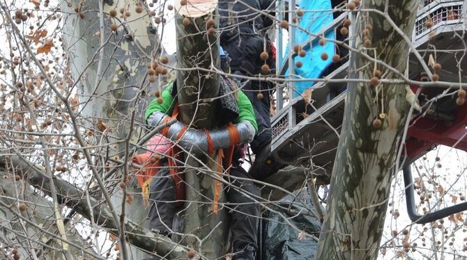 Räumung Schlossgarten Stuttgart 21