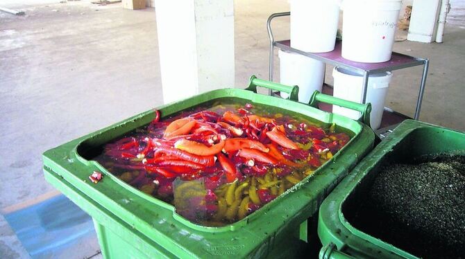 Ungenießbar waren diese Antipasti: Der Hersteller hatte Listerien entdeckt. FOTO: LRA