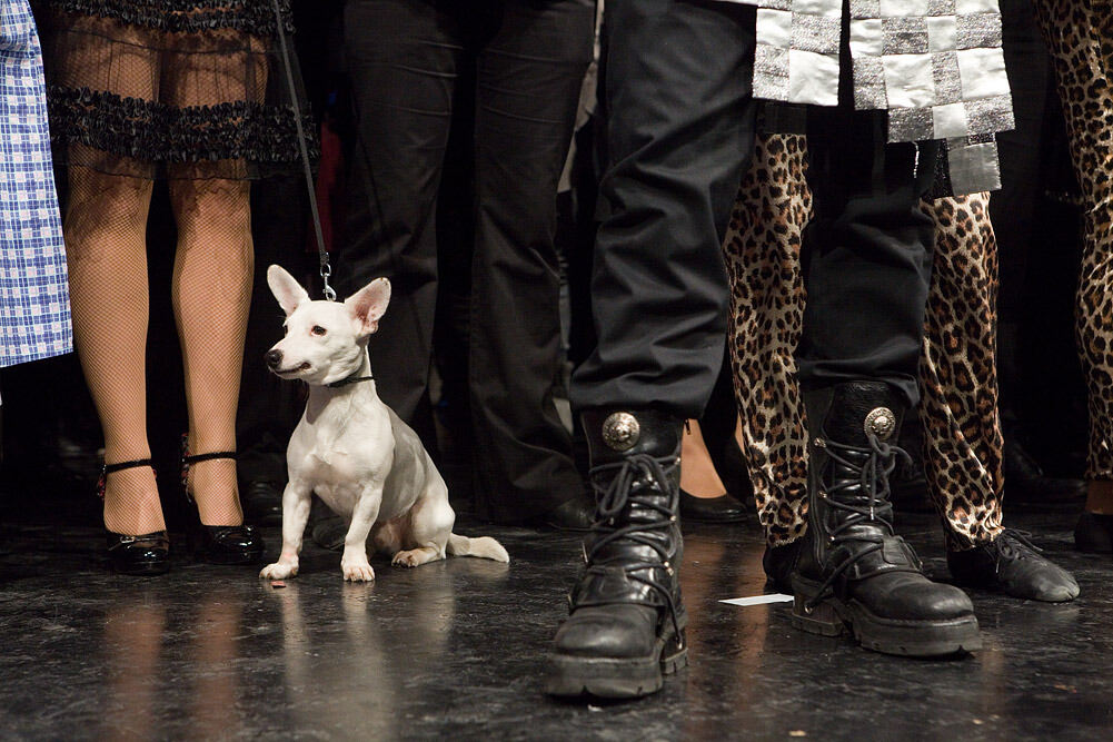 100 Magier in 100 Minuten