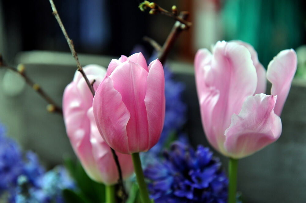 Frühlingsgefühle in Reutlingen