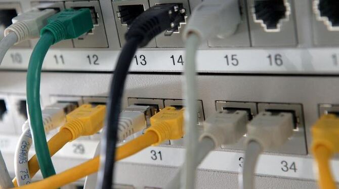 Netzwerkkabel in einem Verteiler für Internetverbindungen. Foto: Jens Büttner/Illustration