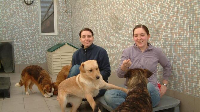 Denise (links) und Tina Fauser mit einem Rudel rumänischer Junghunde im Tierheim. FOTO: KABLAOUI