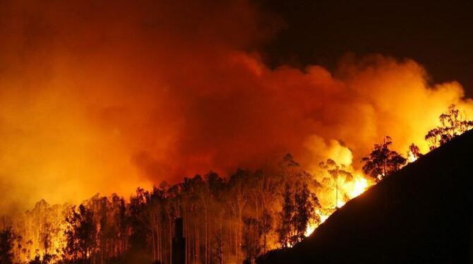 Eine Flammenwand steht über dem Naturschutzgebiet im Norden Spaniens. Foto: Kiko