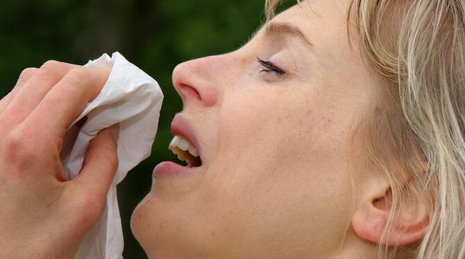 Attacke auf Augen und Nase. Wenn die Allergie fortschreitet, rutscht sie »eine Etage tiefer« auf die Bronchien.