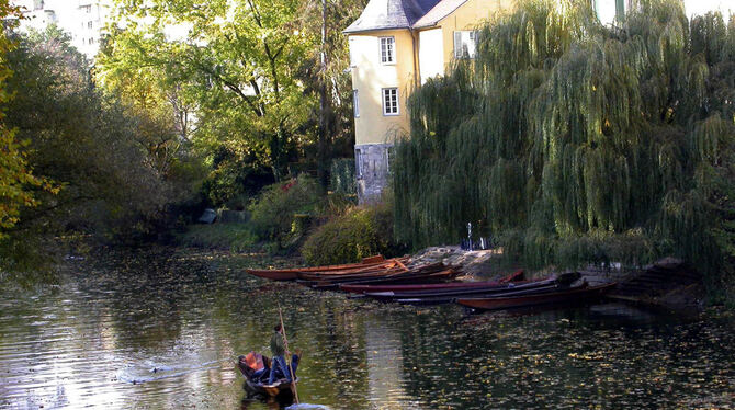 Der Hölderlinturm in Tübingen.