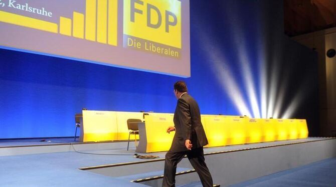 Patrick Döring, Generalsekretär der FDP in der dm-Arena in Karlsruhe: Hier findet der FDP-Bundesparteitag stattfindet. Foto: