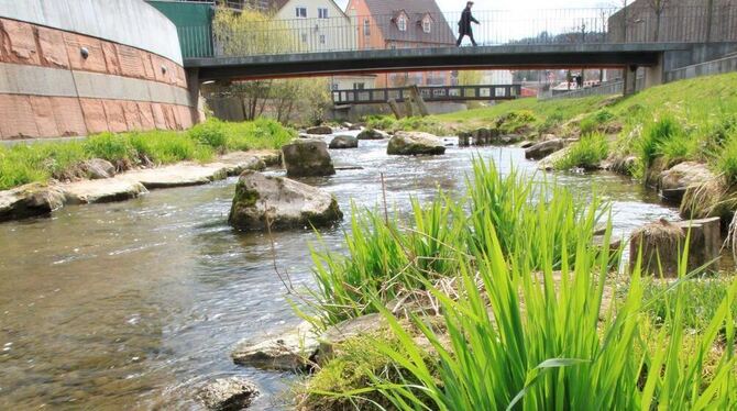 Die Waldtach in Nagold ist für die Landesgartenschau hübsch gemacht worden.