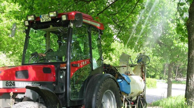 Auf dem Weg zum Urschelberg beispielsweise gibt es den Giftnebel für die kleinen Falterraupen.  GEA-FOTO: BARAL