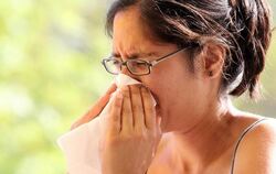 Wissenschaftler warnen vor einem Allergie-Boom in Deutschland und Europa und fordern die Politik zum Handeln auf. Foto: Bodo 