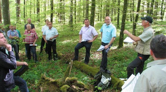 Waldpädagogik für Gemeinderäte: Georg Kemmner vom Kreisforstamt erläutert globale und lokale Aspekte der Waldwirtschaft.